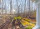 Backyard view, surrounded by a dense forest and bathed in sunlight at 300 Boyd Rd, Clover, SC 29710