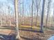 Backyard view through the trees at 300 Boyd Rd, Clover, SC 29710