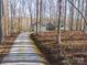 Long winding driveway leading through a wooded area to a charming home at 300 Boyd Rd, Clover, SC 29710