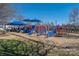 A community playground with slides, climbing structures, and a shaded seating area for children and their guardians at 4644 Craigmoss Ln, Charlotte, NC 28278