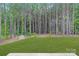 The backyard is bordered by a mature green space at 700 Sunset Pointe Dr, Salisbury, NC 28146
