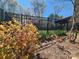 Landscaped flower bed featuring bright plantings and a black metal fence at 2741 Smethwick Ln, Gastonia, NC 28056