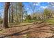 Large backyard with mature trees at 216 E Georgia Ave, Bessemer City, NC 28016