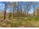 Large backyard with mature trees at 216 E Georgia Ave, Bessemer City, NC 28016