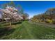 Lush green common area with walking path, flowering trees, and park benches at 4434 Patriots Hill Rd, Mint Hill, NC 28227