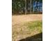 Expansive backyard featuring beautiful mature trees and landscaping at 4731 Whispering Oaks Dr, Charlotte, NC 28213