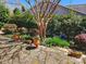 Inviting backyard with stone patio, decorative pots, landscaping and a mature tree at 86614 Arrington Rd, Lancaster, SC 29720