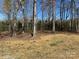 Expansive backyard area with mature trees, offering privacy and natural beauty at 10607 Wood Meadow Dr, Charlotte, NC 28227