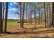 Scenic backyard with mature trees, open lawn, and distant field view, perfect for nature lovers at 620 St Lukes Church Rd, Salisbury, NC 28146