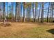 A tree filled backyard with sparse grass ground covering at 620 St Lukes Church Rd, Salisbury, NC 28146