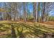 Green backyard filled with tall mature trees at 620 St Lukes Church Rd, Salisbury, NC 28146