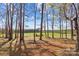 Inviting backyard with mature trees and grassy lawn, offering a serene and private outdoor space at 620 St Lukes Church Rd, Salisbury, NC 28146