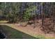 Backyard with wooded area and scattered trees offering shade and privacy at 3308 Lemongrass Ln, Charlotte, NC 28214