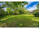Expansive backyard featuring lush green grass and mature trees providing ample shade at 3330 Foxcroft Rd, Charlotte, NC 28211