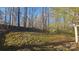 Green backyard with a wooded area and a partial view of the home's exterior at 5016 Haybridge Rd, Charlotte, NC 28269