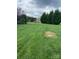 Lush backyard featuring green grass and mature trees at 139 Sain Rd, Statesville, NC 28625