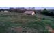 A green backyard with a small barn and lots of trees in the distance at 1524 J Rhyne Reep Rd, Vale, NC 28168