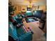 Living room with Dolphins themed decor, featuring a large television and comfortable seating at 16306 Hayfield Rd, Charlotte, NC 28213