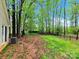 Spacious backyard with a well-maintained fence line provides privacy and security at 6520 White Pine Ln, Charlotte, NC 28262