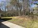 Green backyard featuring a treeline in the distance at 1015 Raywood Ct, Matthews, NC 28104