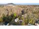 Aerial view of the house surrounded by trees in a neighborhood with beautiful landscape at 2706 Booker St, Gastonia, NC 28054
