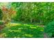 Expansive backyard with a well-manicured lawn and mature trees providing ample shade at 5232 Silchester Ln, Charlotte, NC 28215