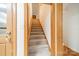 View of carpeted staircase featuring wood trim at 5232 Silchester Ln, Charlotte, NC 28215