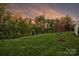 Expansive backyard with lush green lawn, mature trees, and vibrant foliage offers a serene outdoor space at 12912 Bailey Rd, Cornelius, NC 28031