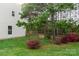 Lush backyard with a wooden fence and beautiful landscaping featuring some nice trees at 2919 Bridgeville Ln, Charlotte, NC 28262