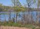 Scenic lake view surrounded by trees and foliage, offering a tranquil and natural setting at 525 Cellini Pl, Mount Holly, NC 28120