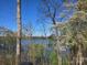 Picturesque lake view framed by mature trees and blooming dogwoods; serene community setting at 525 Cellini Pl, Mount Holly, NC 28120
