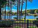 Beautiful lake view framed by tall trees and manicured greenery at 7844 Village Harbor Dr, Cornelius, NC 28031