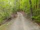 Gravel driveway through a wooded area at 807 And 809 Sparrow Springs Rd, Kings Mountain, NC 28086