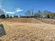 Expansive backyard featuring a grassy hill enclosed by a wrought iron fence, offering privacy and ample space at 104 Hemlock Cove Ct, Mooresville, NC 28117