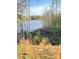 Scenic view of a tranquil lake surrounded by lush trees offering a serene and picturesque landscape at 104 Hemlock Cove Ct, Mooresville, NC 28117