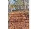 Pathway leading to the lake and private dock perfect for outdoor activities and enjoying nature at 104 Hemlock Cove Ct, Mooresville, NC 28117