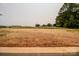 A spacious backyard showcasing the property's ample outdoor space and potential for landscaping or recreation at 1429 Coppergate Dr, Salisbury, NC 28147