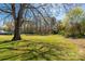 Picturesque backyard showcasing green grass, mature trees, and a tranquil setting, perfect for outdoor enjoyment at 260 Trexler Ln, Rock Hill, SC 29732