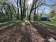Large, tree-filled backyard with dappled sunlight on fallen leaves, and a storage shed at the property edge at 3316 Queens Ln # 10, Gastonia, NC 28052