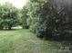 Backyard with lush, green grass and mature trees creating a private and serene outdoor space at 613 E 5Th St, Spencer, NC 29159