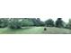 Lush, green backyard offers an expansive area for outdoor activities and relaxation at 613 E 5Th St, Spencer, NC 29159