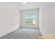 Bright carpeted bedroom with large window allowing ample natural light at 6025 Jasmine Branch Rd, Charlotte, NC 28216