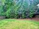 Large private backyard surrounded by lush, mature trees at 12815 Towering Pine Dr, Charlotte, NC 28269