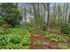 Lush backyard with manicured plants, mature trees, and a natural stone walkway at 5125 Winding Brook Rd, Charlotte, NC 28226