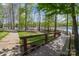Scenic walkway leading to the lake, surrounded by lush greenery and mature trees at 6529 Jepson Ct, Charlotte, NC 28214