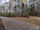 This is a view of the property from the street, with trees and foliage surrounding the area at 104 Little River Trl, Fort Mill, SC 29707