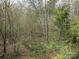 View of the a heavily wooded area with tall trees and a lot of foliage in the background at 104 Little River Trl, Fort Mill, SC 29707