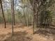 View of a heavily wooded area, with many tall trees and a lot of foliage on the ground at 104 Little River Trl, Fort Mill, SC 29707