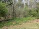 View of a grassy yard with many trees and foliage in the background in the woods at 104 Little River Trl, Fort Mill, SC 29707