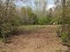 View of a grassy yard with trees and foliage in the background and some small structures at 104 Little River Trl, Fort Mill, SC 29707